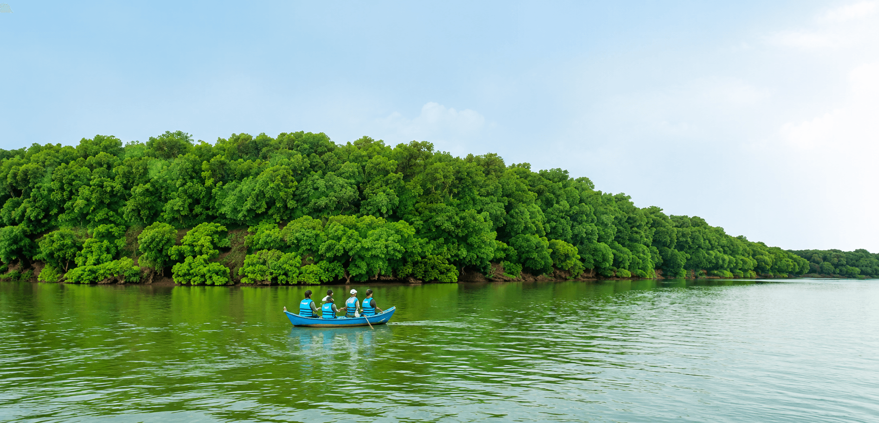 Mangrove waterway